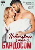Новогоднее утро с… Бандосом! - Аверина Екатерина "Кара"
